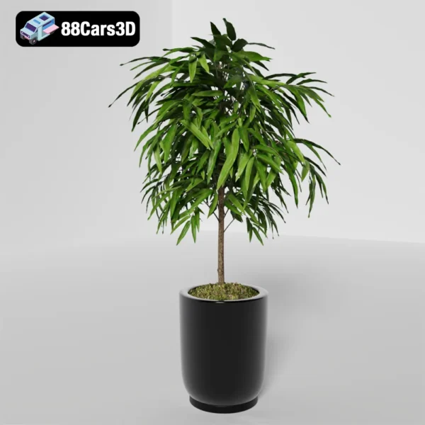PLANTS 94 Decore  Decorative Indoor Plant Set 3D Model