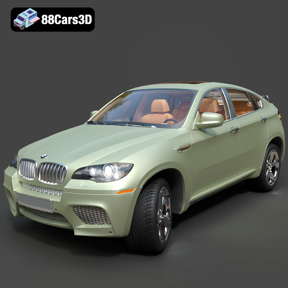 BMW X6 001
