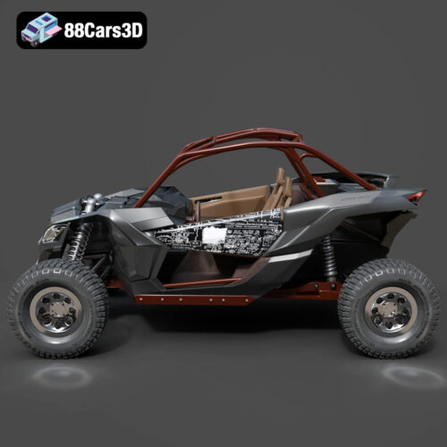 Can-Am Maverick Buggy 2019
