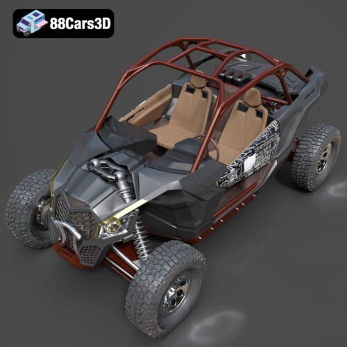 Can-Am Maverick Buggy 2019