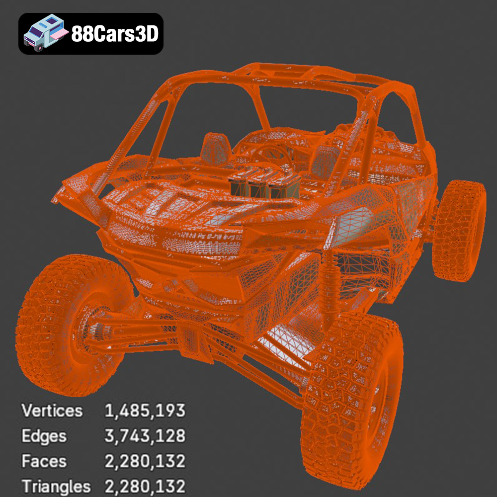 Can-Am Maverick Buggy 2019