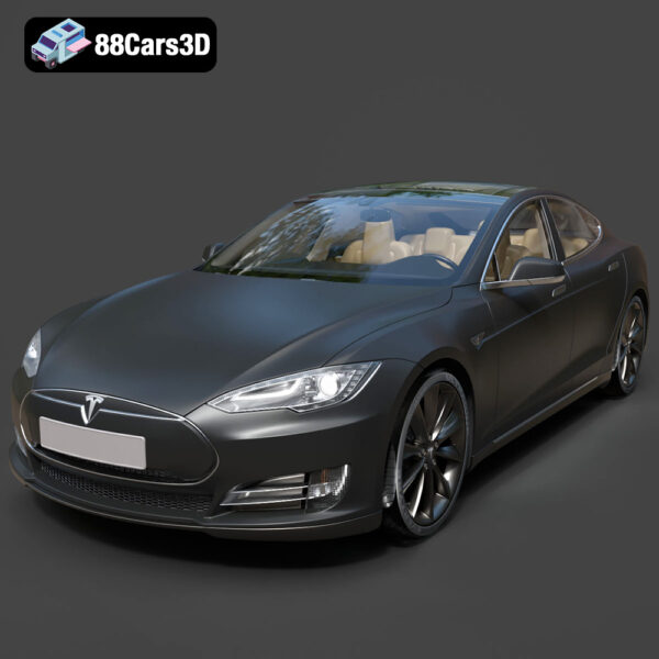 Tesla S-08