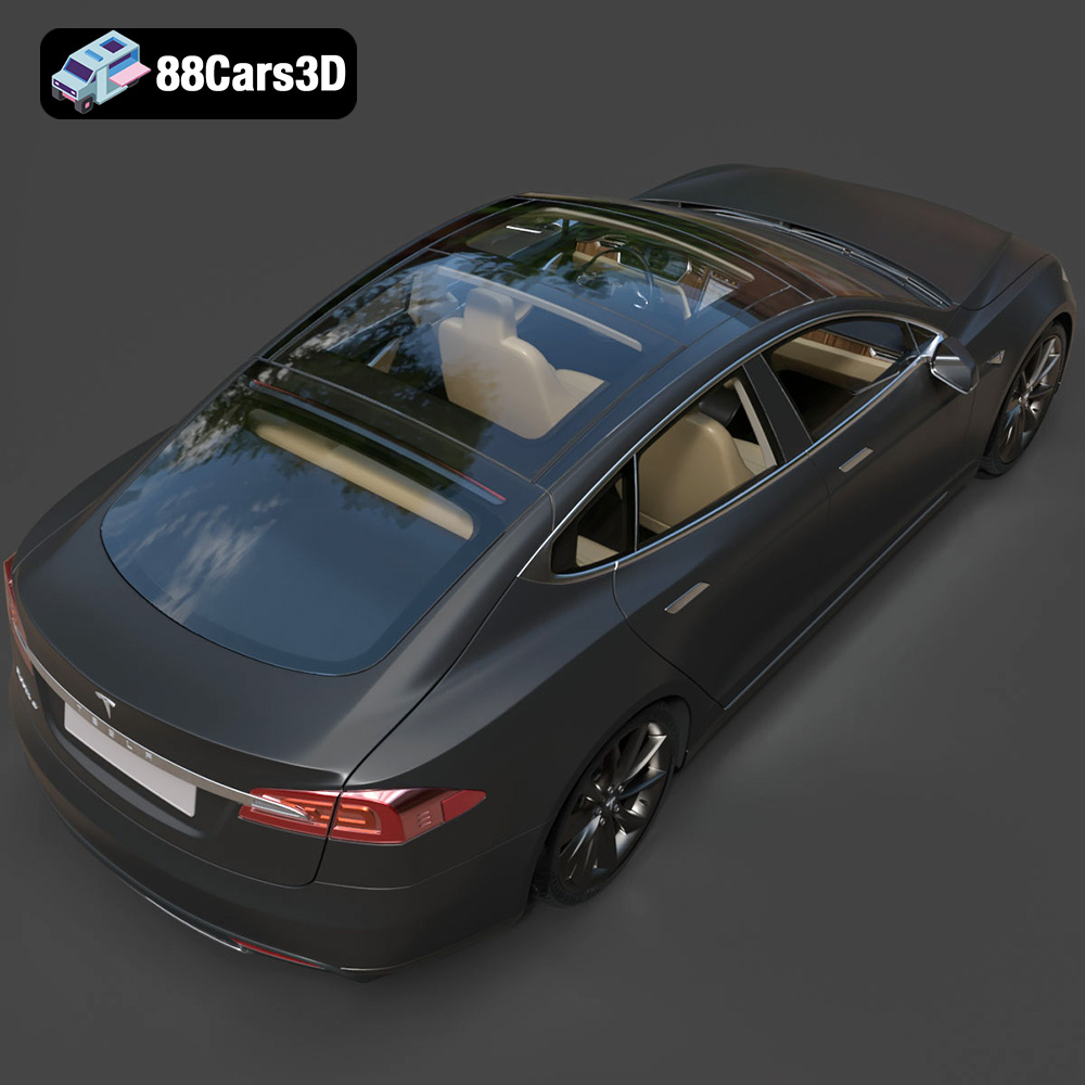 Tesla S-08