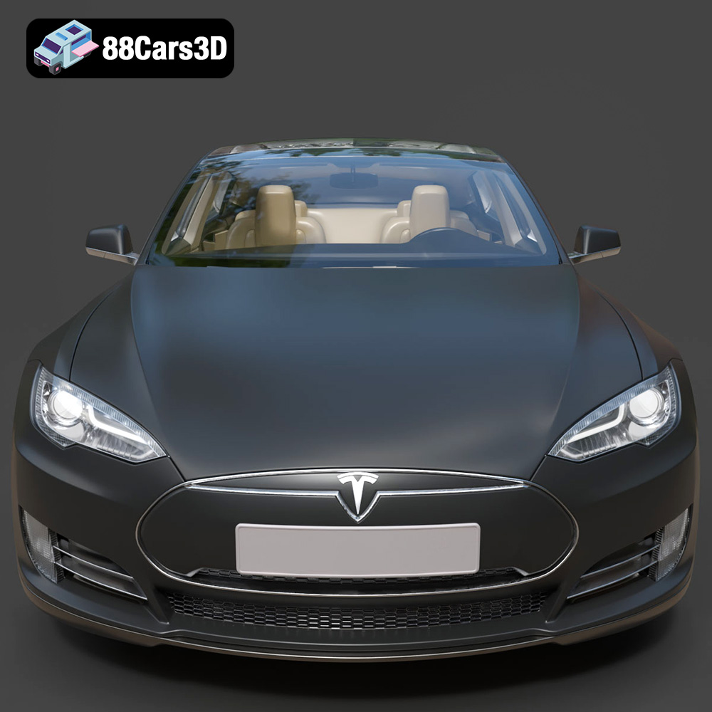 Tesla S-08