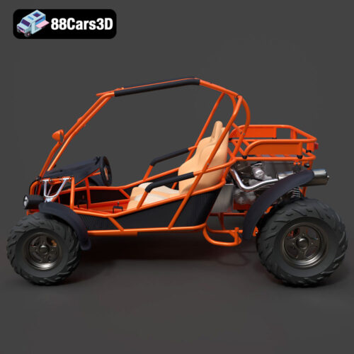 Buggy 08