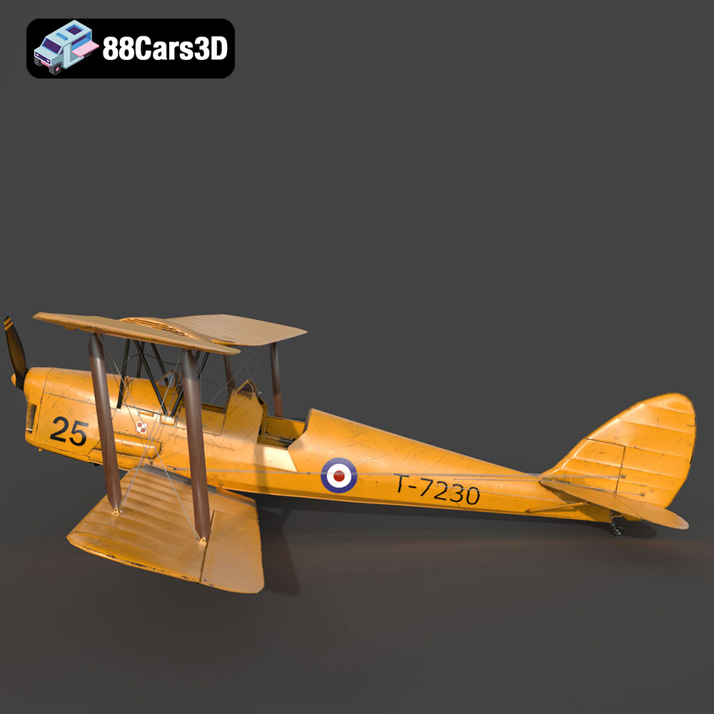 Tiger Moth