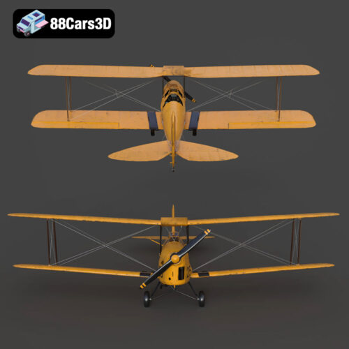 Tiger Moth