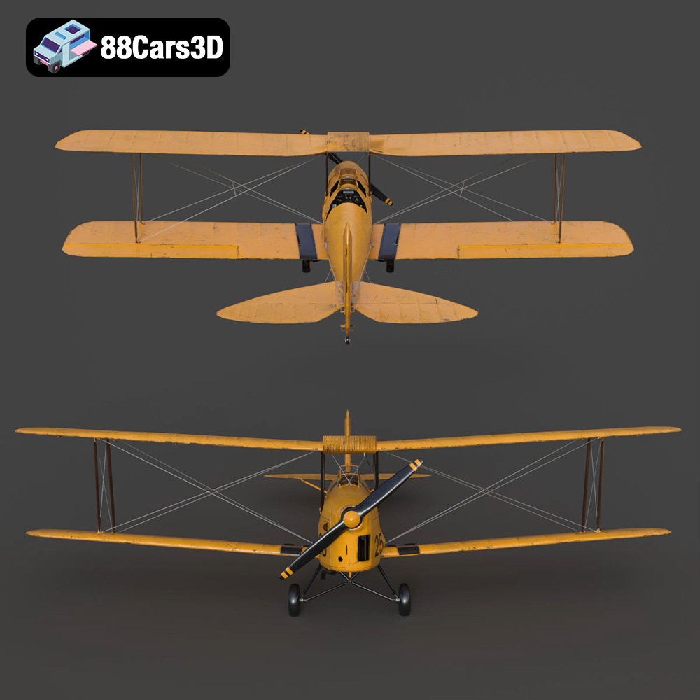 Tiger Moth