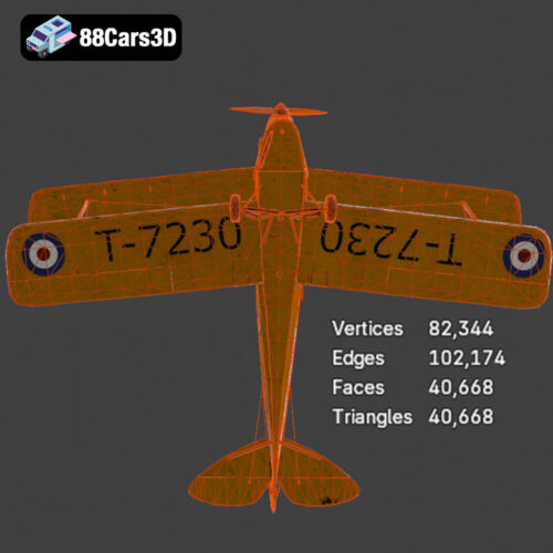 Tiger Moth