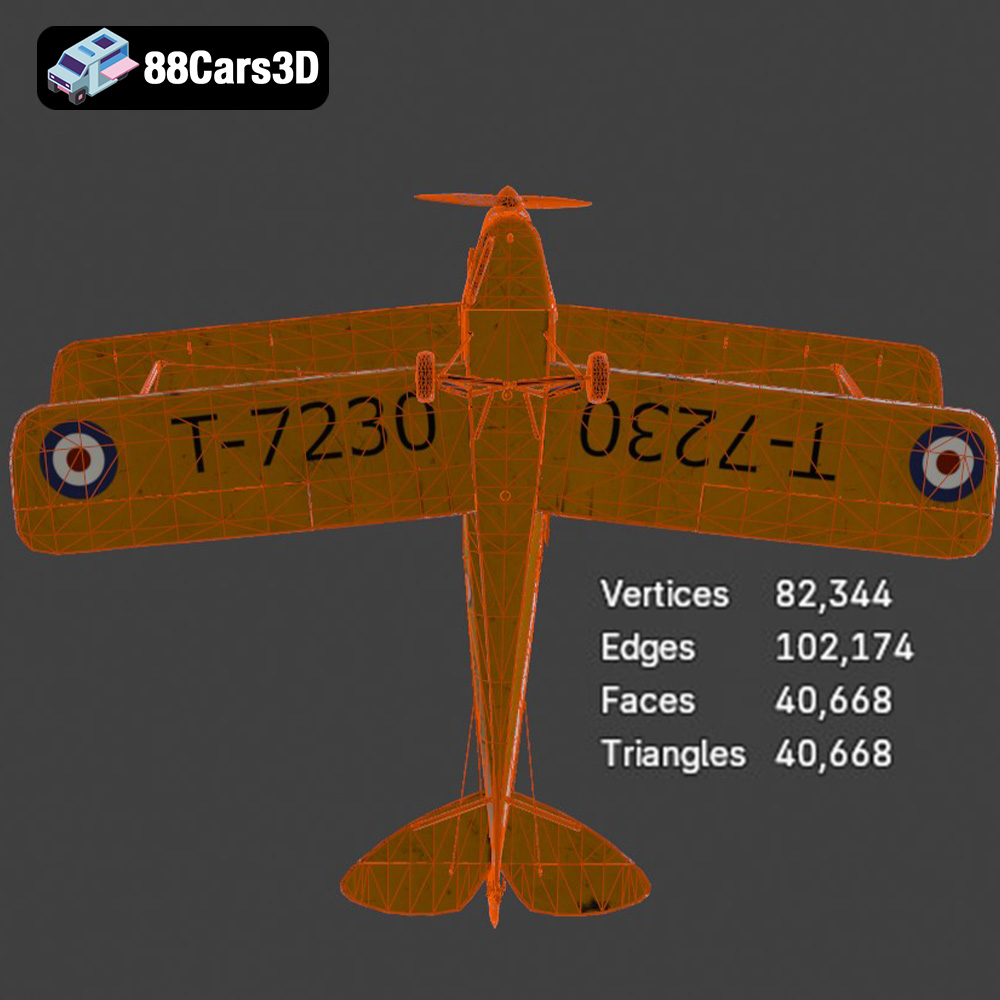 Tiger Moth