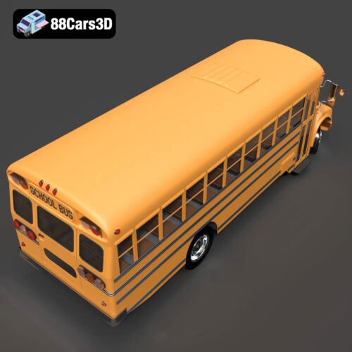 Blue Bird School Bus 2013