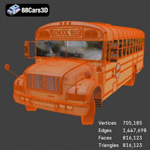 Blue Bird School Bus 2013