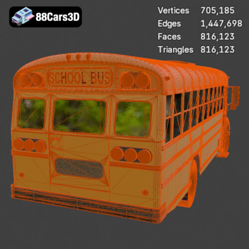 Blue Bird School Bus 2013